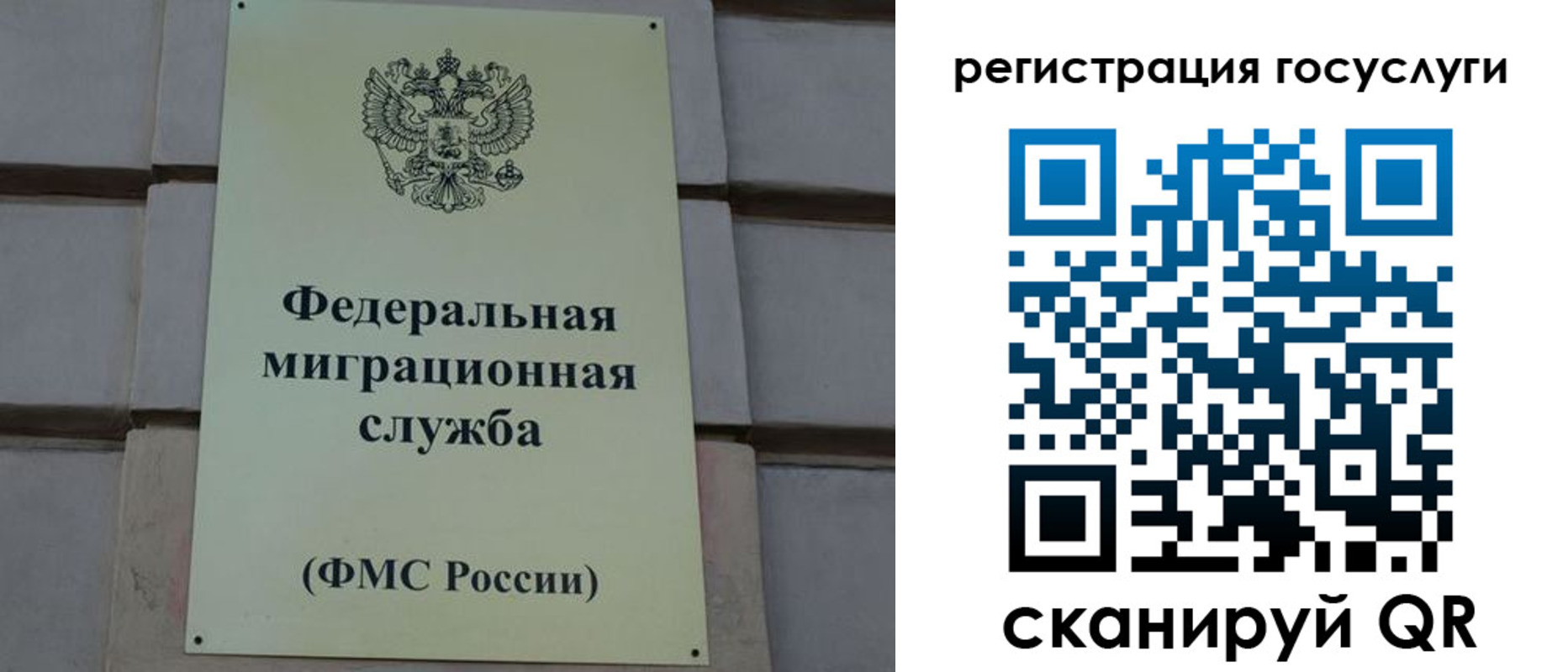 временная регистрация поиск в Лузе